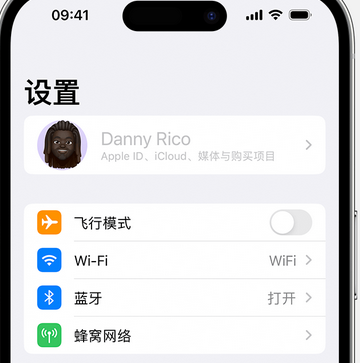 平遥appleID维修服务iPhone设置中Apple ID显示为灰色无法使用 