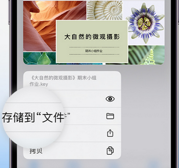 平遥apple维修中心分享iPhone文件应用中存储和找到下载文件