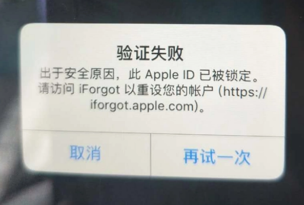 平遥iPhone维修分享iPhone上正常登录或使用AppleID怎么办 