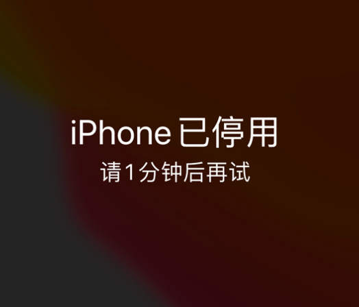 平遥苹果手机维修分享:iPhone 显示“不可用”或“已停用”怎么办？还能保留数据吗？ 