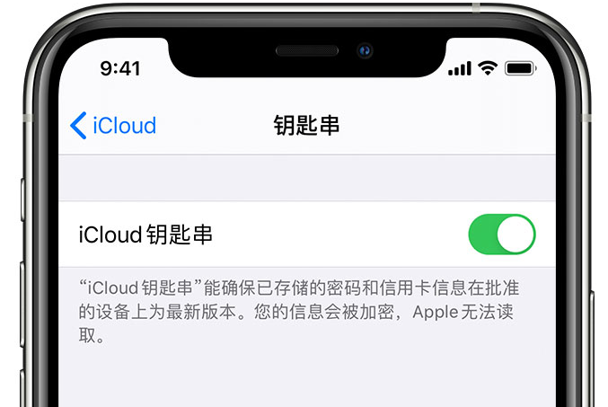 平遥苹果手机维修分享在 iPhone 上开启 iCloud 钥匙串之后会储存哪些信息 