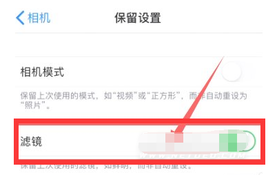 平遥苹果13维修分享iPhone13拍照有绿点是怎么回事 