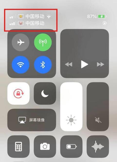 平遥苹果手机维修分享为 iPhone 12 双卡设置标签 